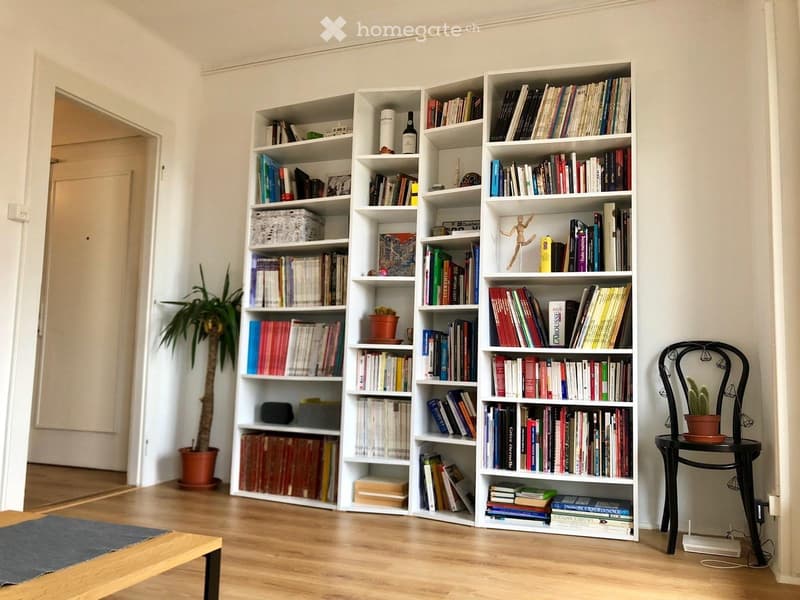 Bright Furnished 1-Bedroom apartment with Balcony (2)