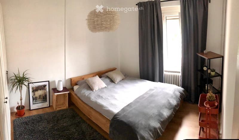 Bright Furnished 1-Bedroom apartment with Balcony (3)