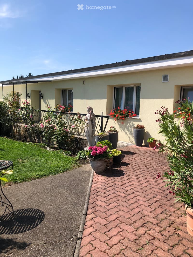 moderne, möblierte Wohnung auf dem Seerücken, sehr ruhig (1)