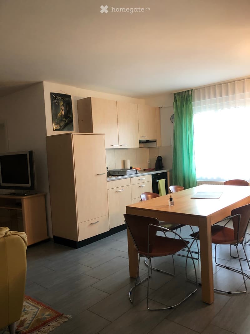 moderne, möblierte Wohnung auf dem Seerücken, sehr ruhig (4)