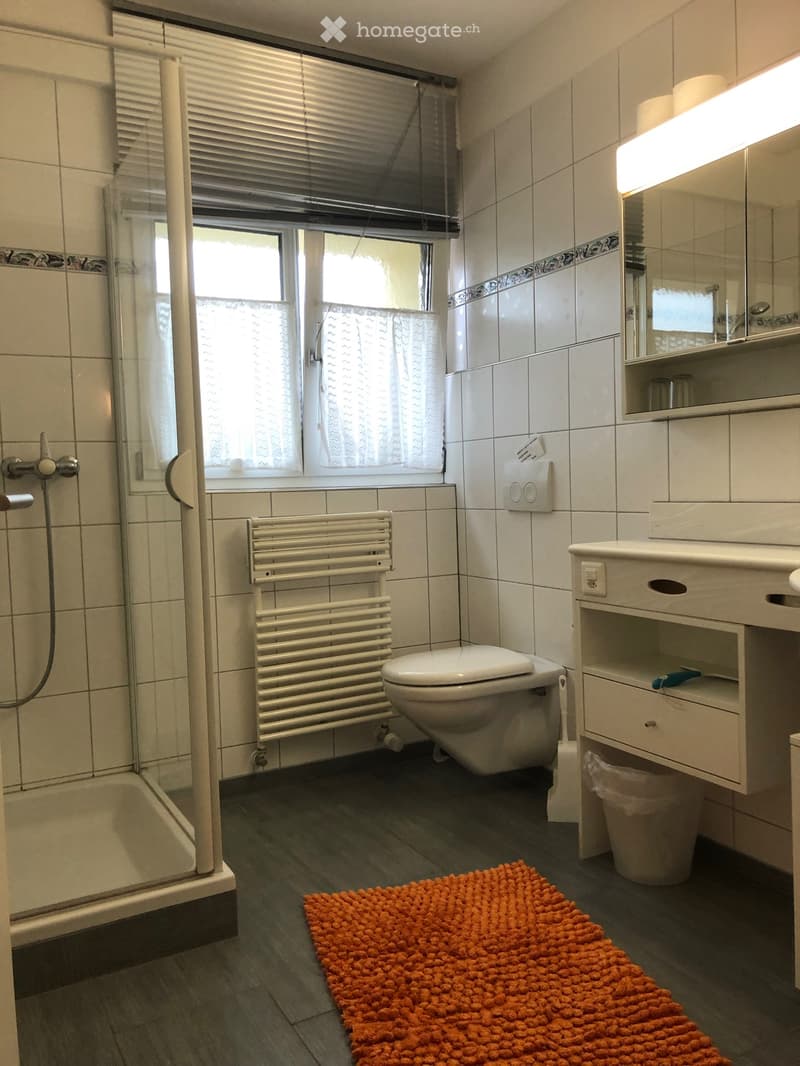 moderne, möblierte Wohnung auf dem Seerücken, sehr ruhig (2)