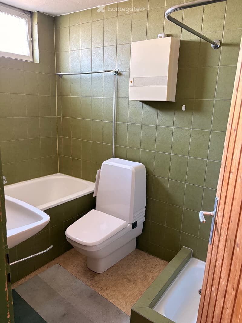 3,5 Zimmer Wohnung in Dornach teilmöbliert (2)
