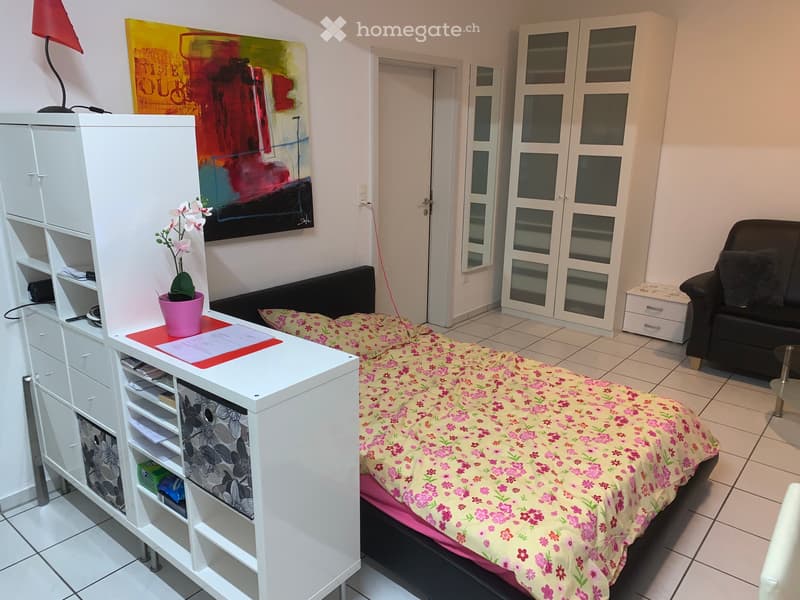 Möblierte 1 Zimmer Wohnung (4)