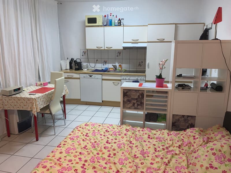 Möblierte 1 Zimmer Wohnung (5)