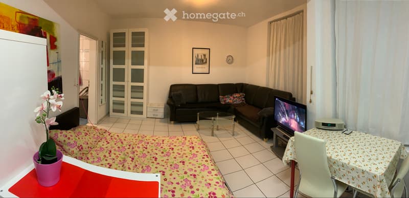 Möblierte 1 Zimmer Wohnung (3)