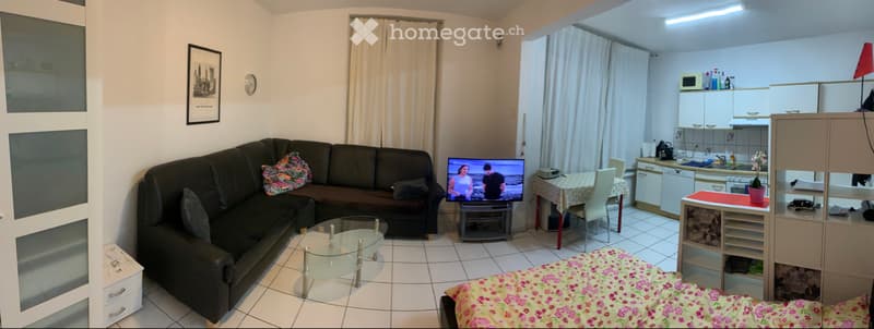 Möblierte 1 Zimmer Wohnung (2)