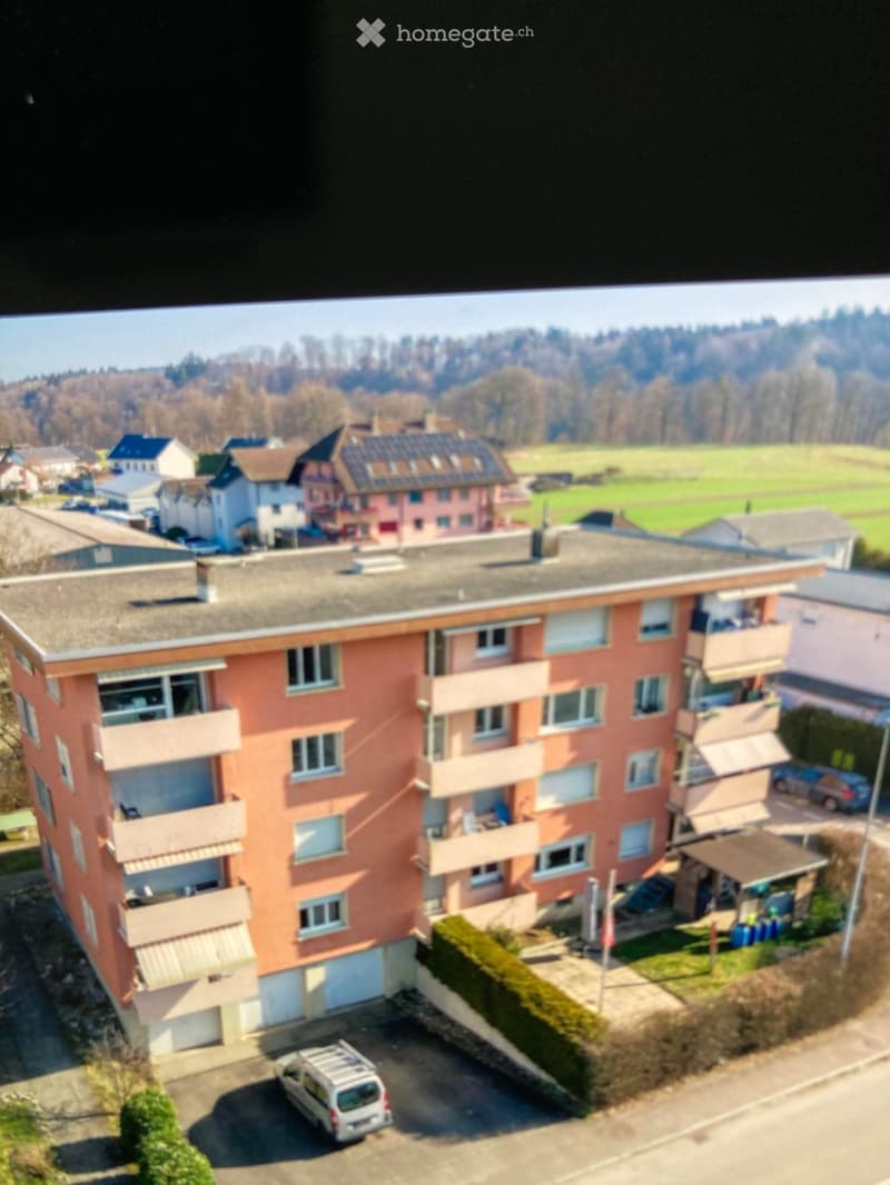 Frisch renovierte Eigentumswohnung (1)
