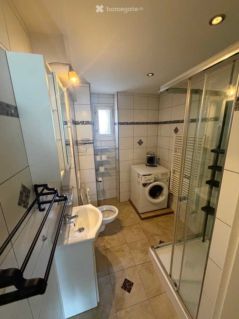 Möbelierte 2.5 Zimmer Wohnung zu vermieten (2)