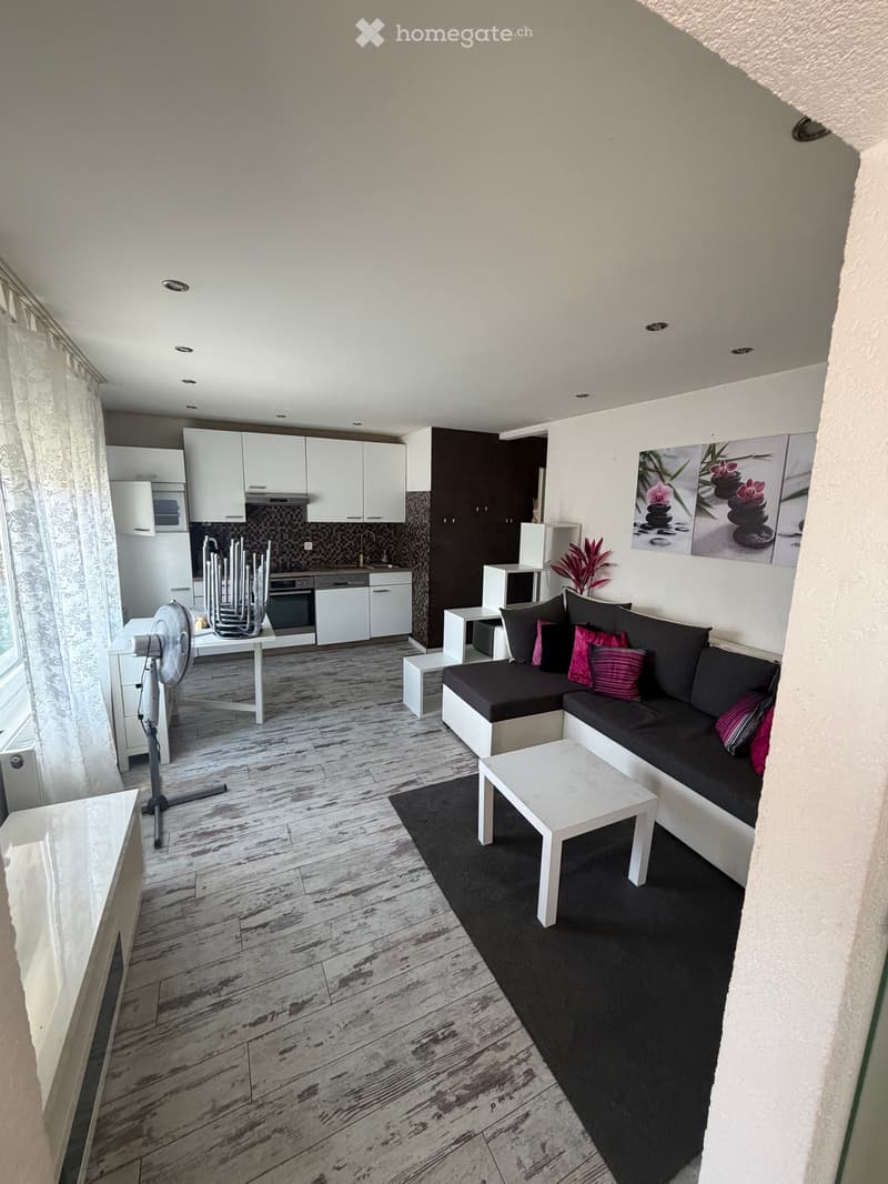 Möbelierte 2.5 Zimmer Wohnung zu vermieten (1)