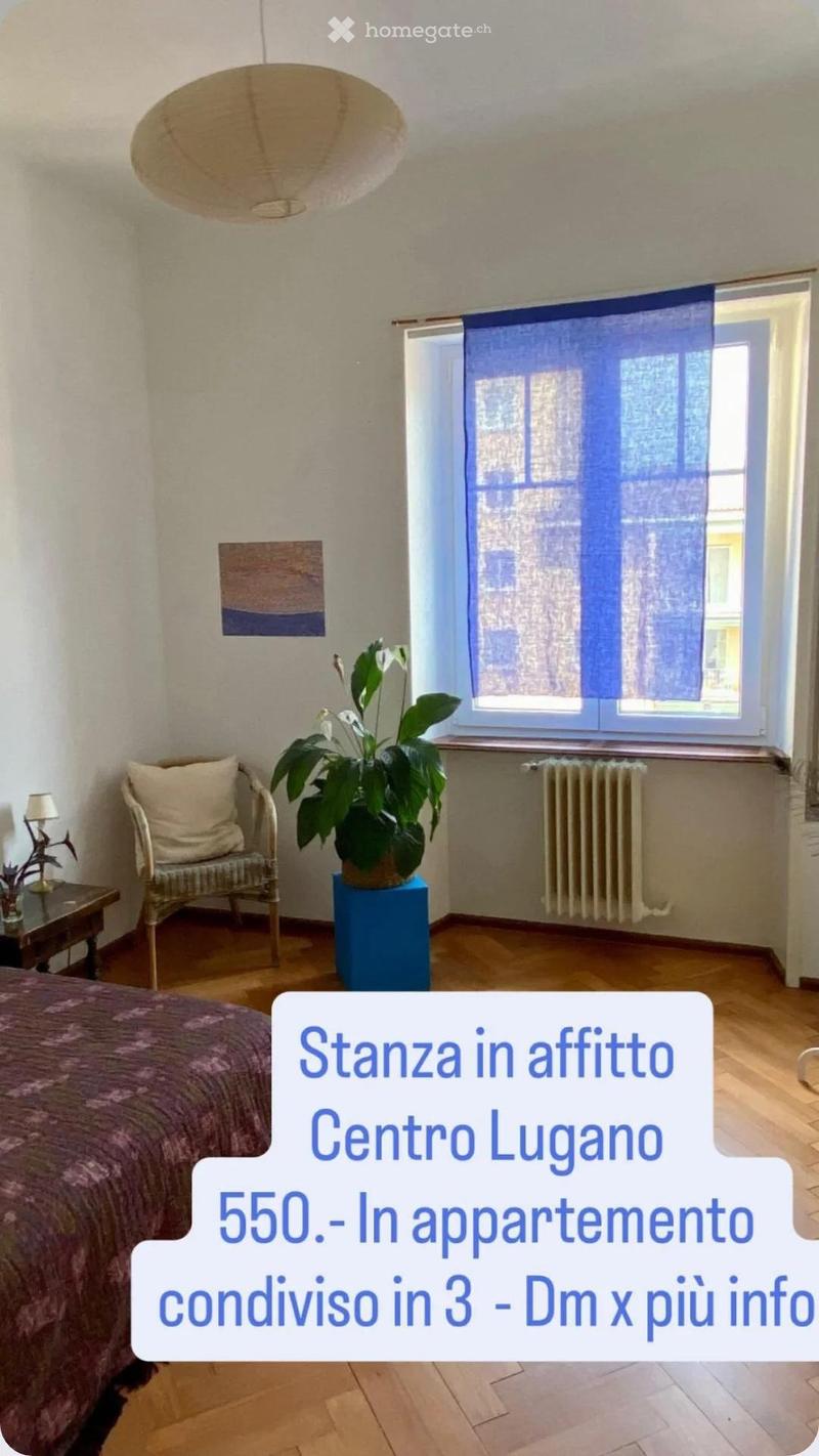 Cercasi subentrante  Camera in centro a Lugano (giugno) (2)