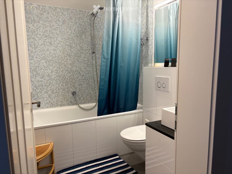 Möblierte 2.5-Zimmer-Dachwohnung mit Terrasse (4)