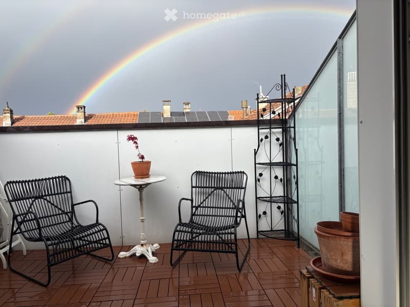 Möblierte 2.5-Zimmer-Dachwohnung mit Terrasse (5)