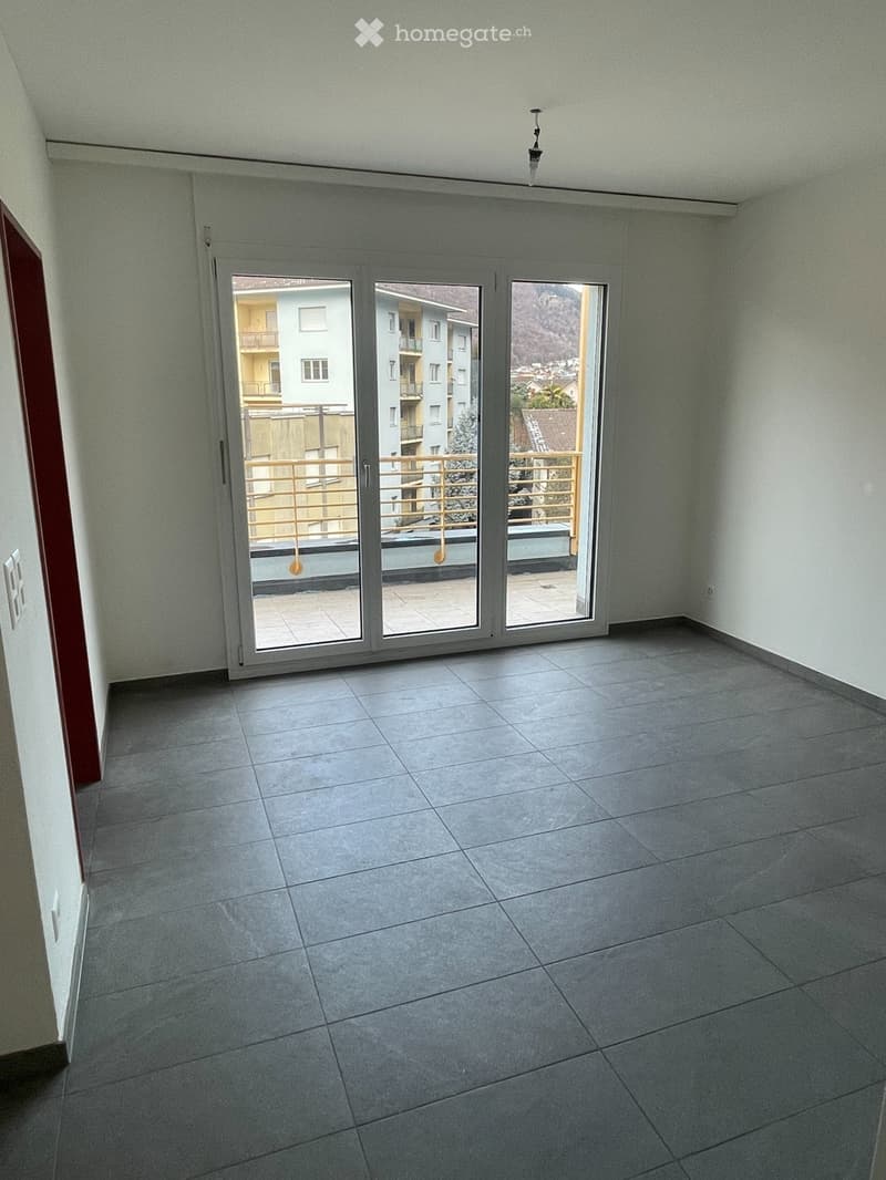 Appartamento completamente rinnovato (3)