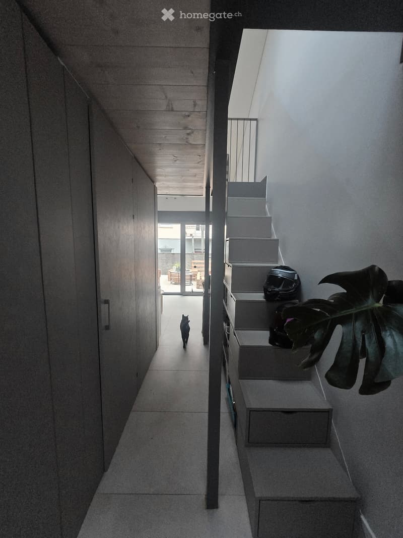 Splendido appartamento 2.5 moderno (2)