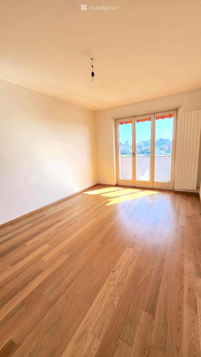 Cercasi subentrante per appartamento luminoso 2,5 (1)