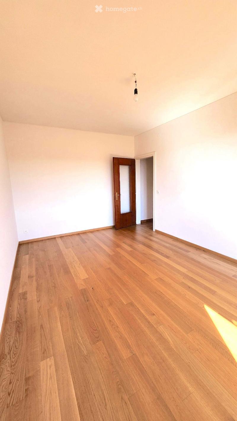 Cercasi subentrante per appartamento luminoso 2,5 (2)