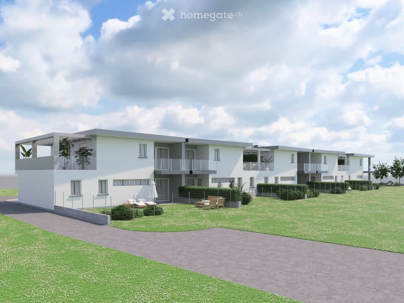 Terreno con licenza approvata - 5 case unifamiliari a Stabio (2)