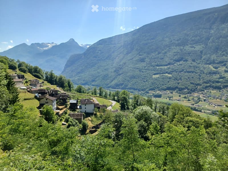 Casa con terreno annesso (1)