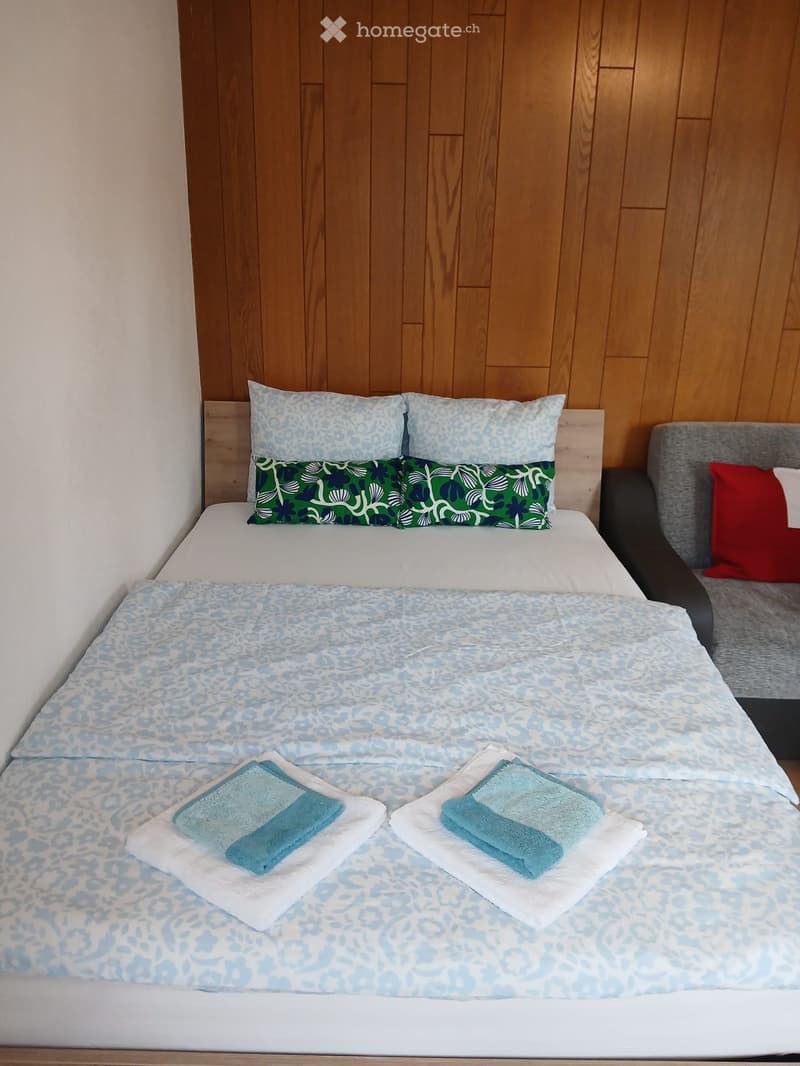 1Zimmer möbliert mit Bad (1)