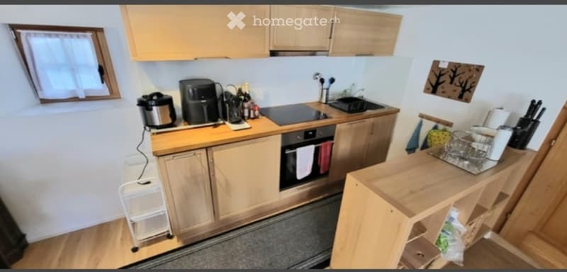2.5 Zi. Wohnung  voll möbliert  Ried-Brig (2)