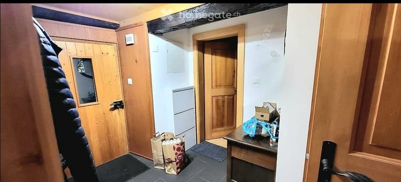 2.5 Zi. Wohnung  voll möbliert  Ried-Brig (4)