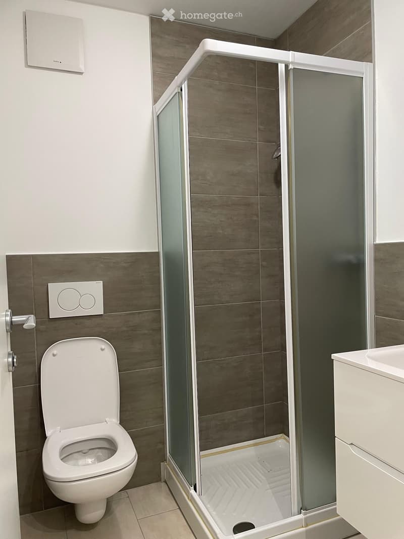 Affttasi incantevole appartamento in zona tranquilla (5)