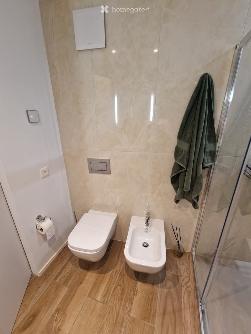 Appartamento 2.5 locali a Ponte Tresa vista lago (5)
