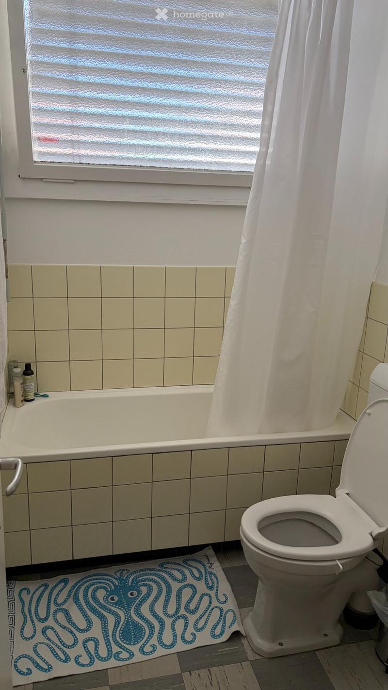 Schöne möbilierte 1-Zimmer-Wohnung (5)