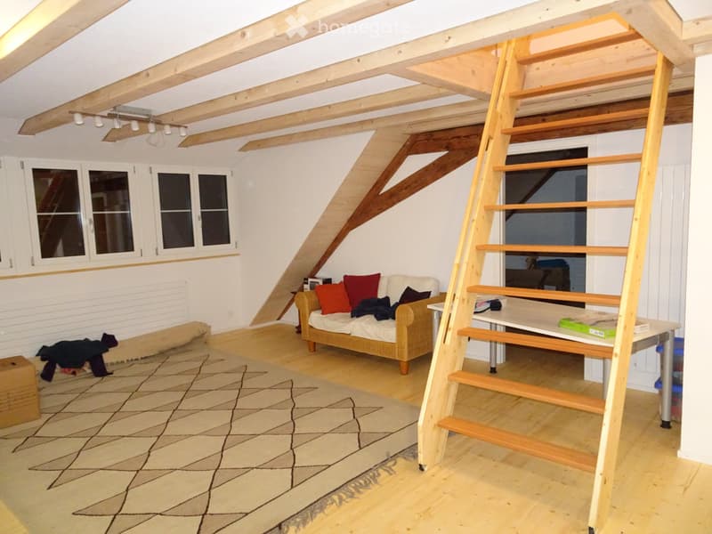 4-Zimmerwohnung in Naturschutzgebiet zu vermieten (3)