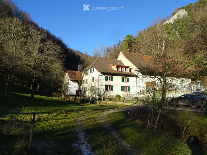 4-Zimmerwohnung in Naturschutzgebiet zu vermieten (1)