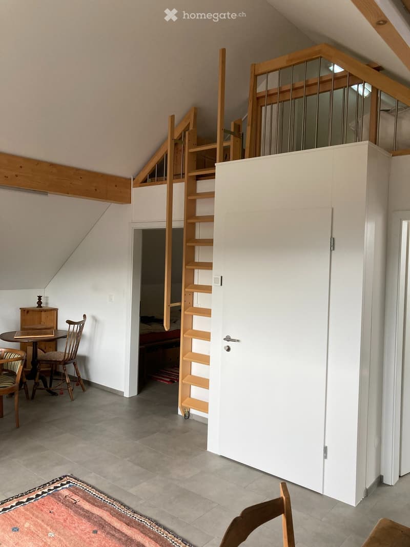 Helle 2.5 Zimmer Wohnung plus Dachzimmer (2)