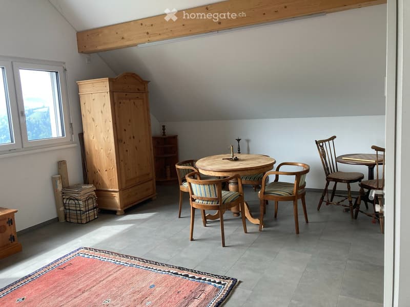 Helle 2.5 Zimmer Wohnung plus Dachzimmer (3)