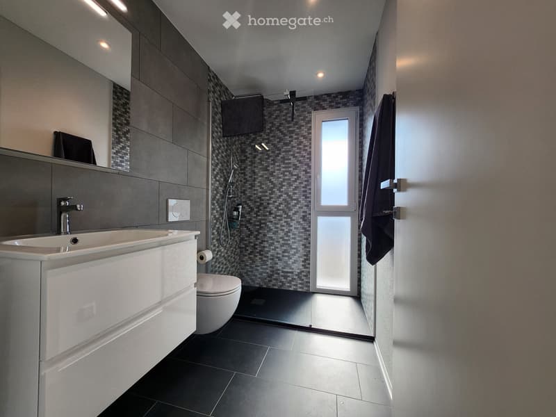 Moderne 2.5 Zimmer Wohnung mit schönem Südausblick (4)