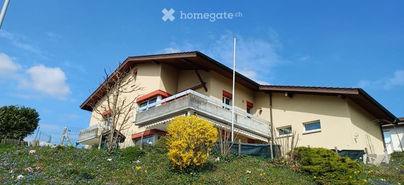grosszügige 5 1/2 Zimmerwohnung zu vermieten (1)