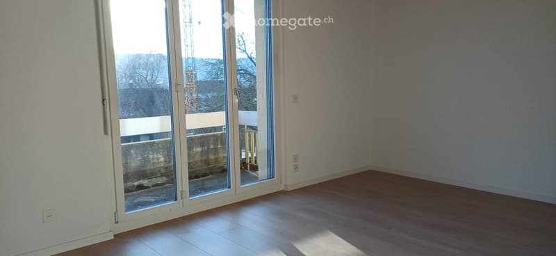 grosszügige 5 1/2 Zimmerwohnung zu vermieten (3)