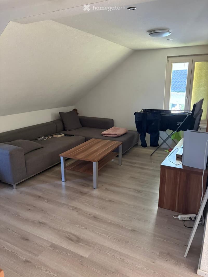 Charmante 3.5 Zimmer Dachwohnung in Rickenbach LU (1)