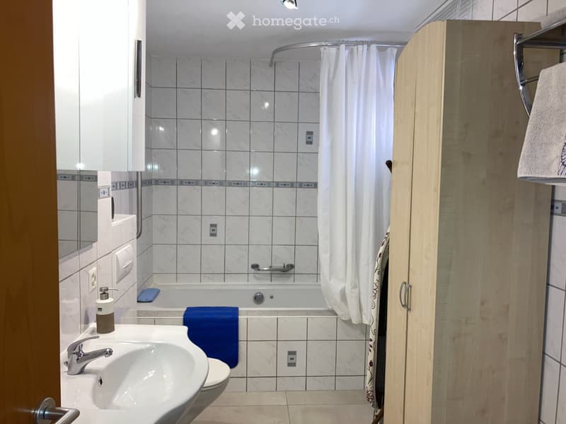 Appartement meublé 1.5 pièces (4)