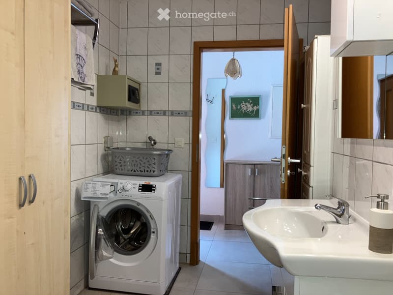 Appartement meublé 1.5 pièces (5)