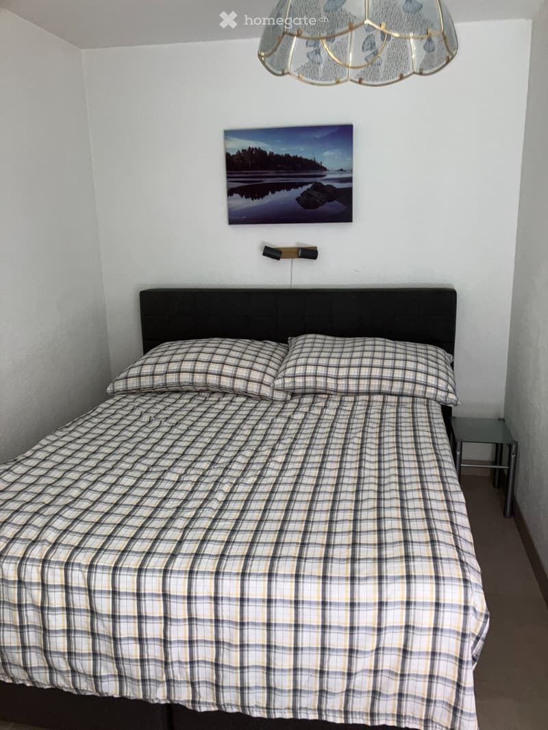 Appartement meublé 1.5 pièces (2)