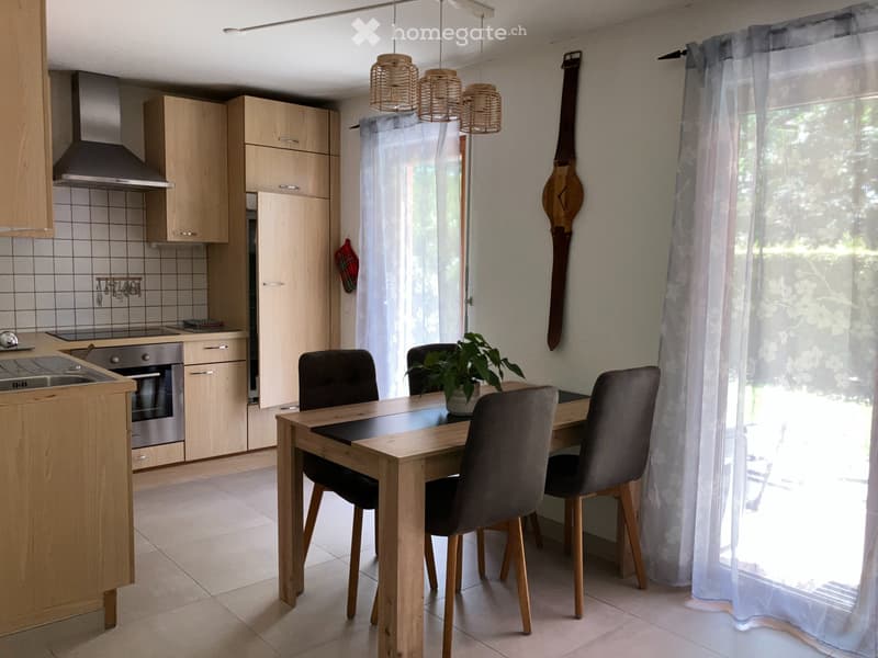 Appartement meublé 1.5 pièces (3)