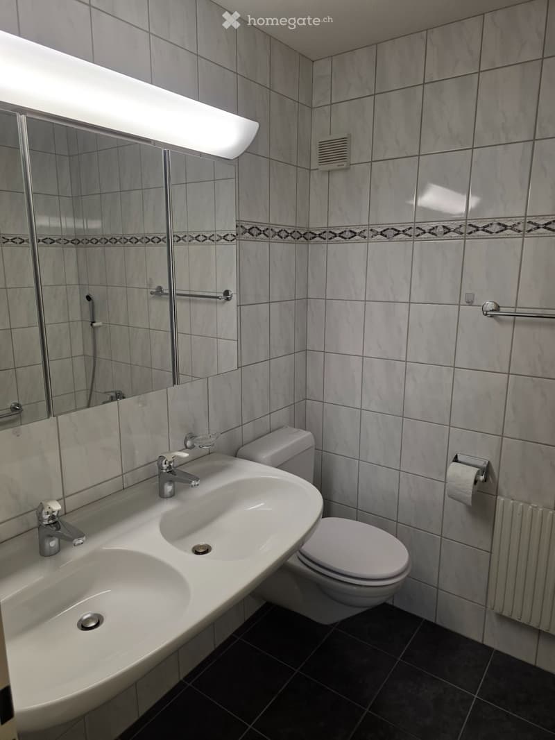 3.5-Zimmerwohnung mit traumhafter Aussicht (5)