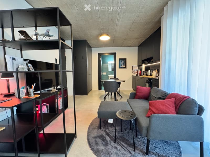 Monolocale arredato in affitto Bellinzona, Viale Officina 17 (2)