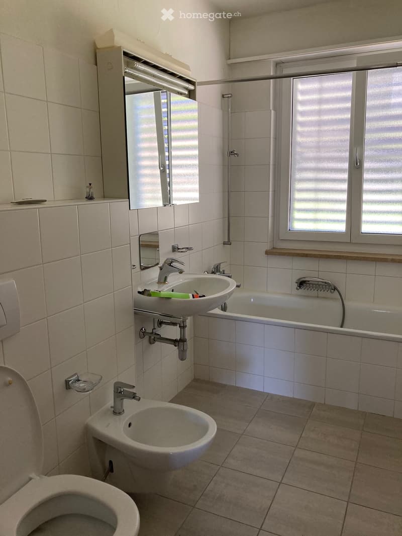 Affittasi ampio 4.5 locali a Caslano (5)