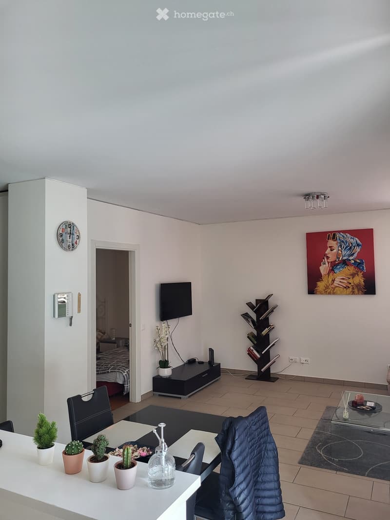 Affitto per brevi periodi 2.5 locali a Lugano (2)