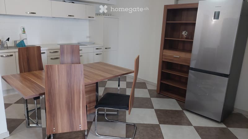Möblierte Einliegerwohnung in Hägendorf, 2,5 Zi. in EFH EG (3)