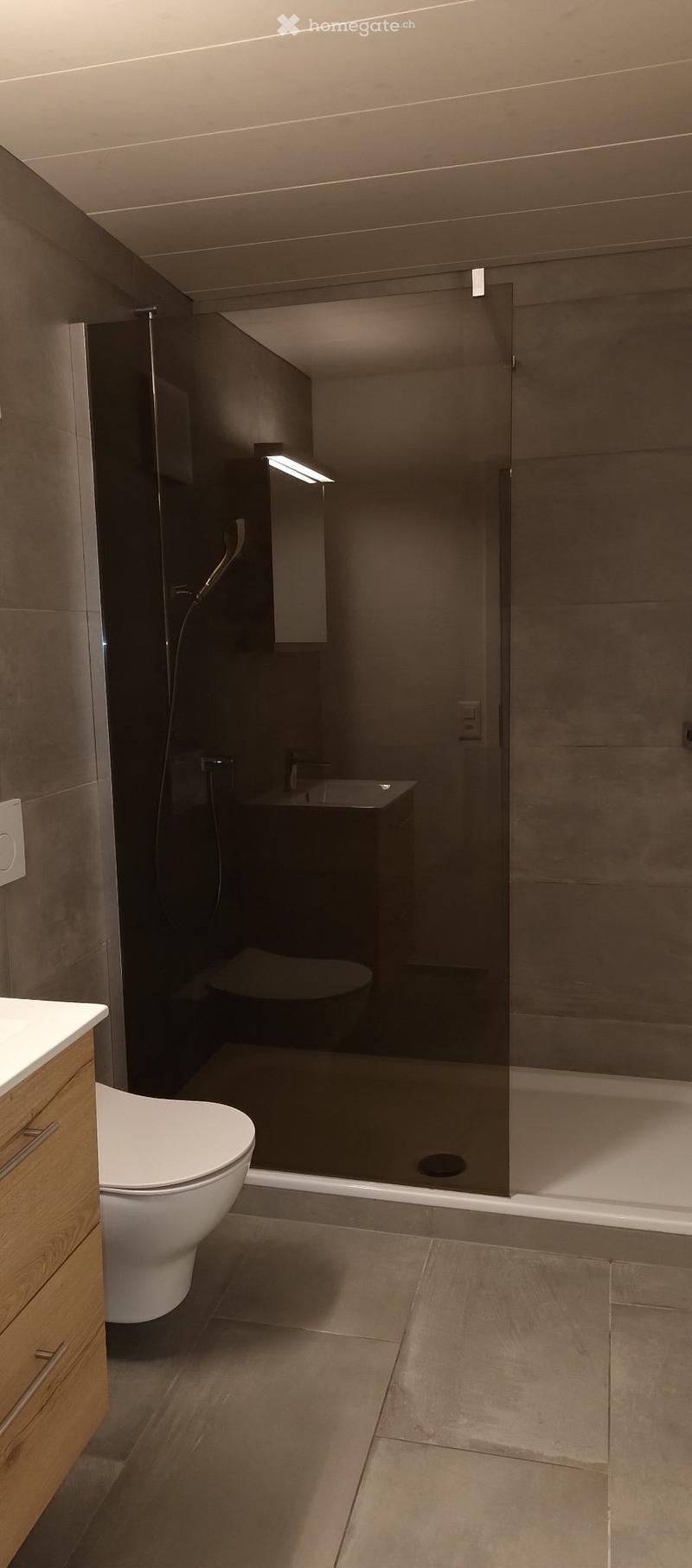 moderne Wohnung sucht Nachmieter ab sofort (4)