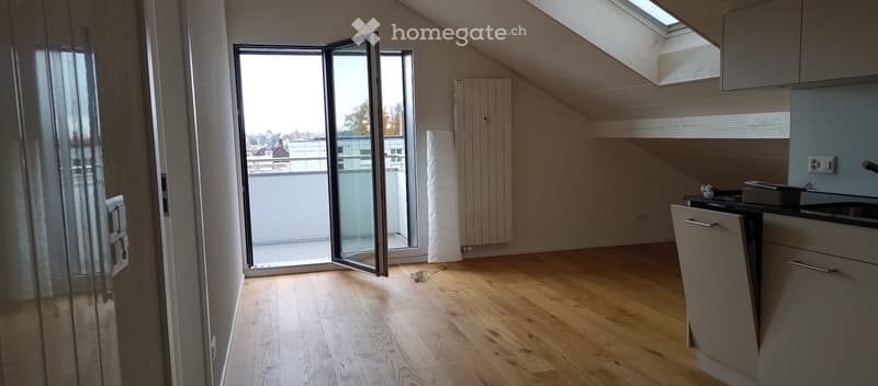 moderne Wohnung sucht Nachmieter ab sofort (3)
