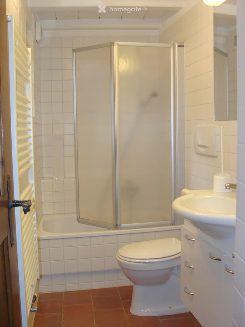 PRIVATO VENDE CASA TICINESE RECENTEMENTE RISTRUTTURATA (6)