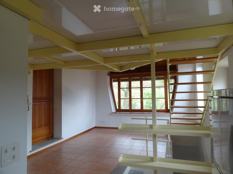 PRIVATO VENDE CASA TICINESE RISTRUTTURATA (4)