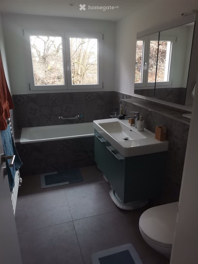 WG Zimmer (3)